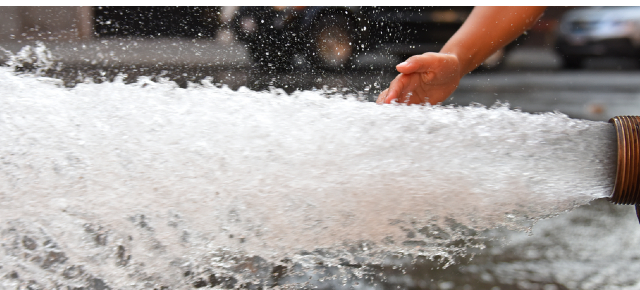 Summer Institute can be like drinking from a fire hose!